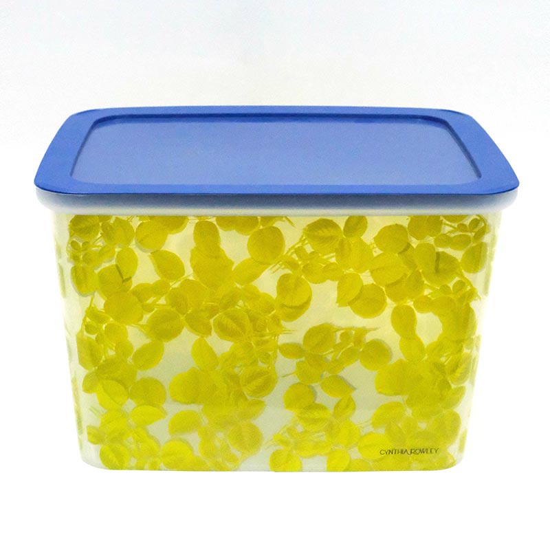 Sorteerdoos spuitgieten in mallabel